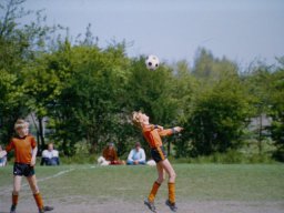 0DIA 1984 RAVA PUPS 1